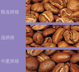 咖啡豆的烘焙 你真的了解嗎？別整天拿鐵卡布，不知道到底喝的啥